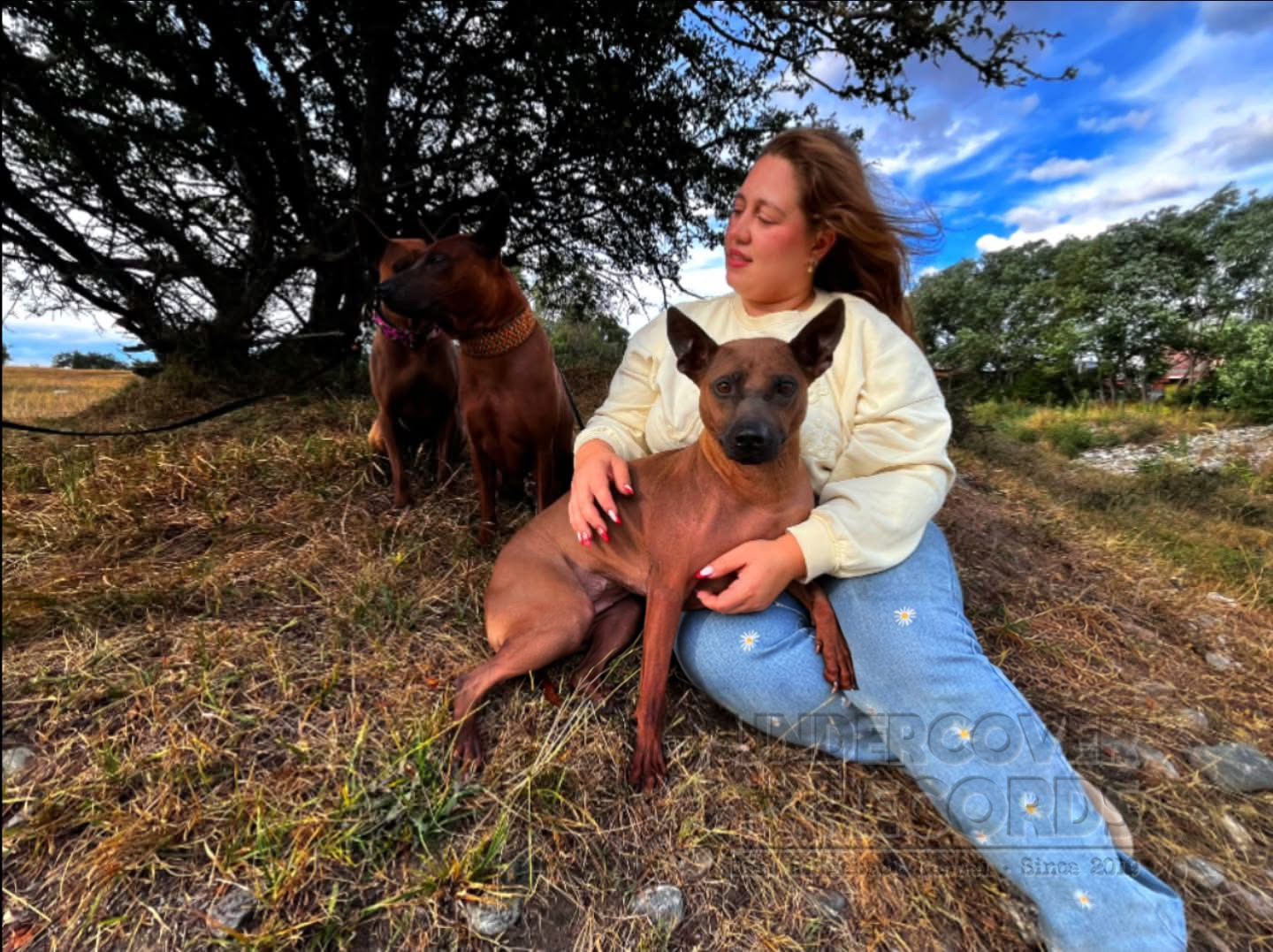 Leonie with Maya and other Thai Ridgebacks