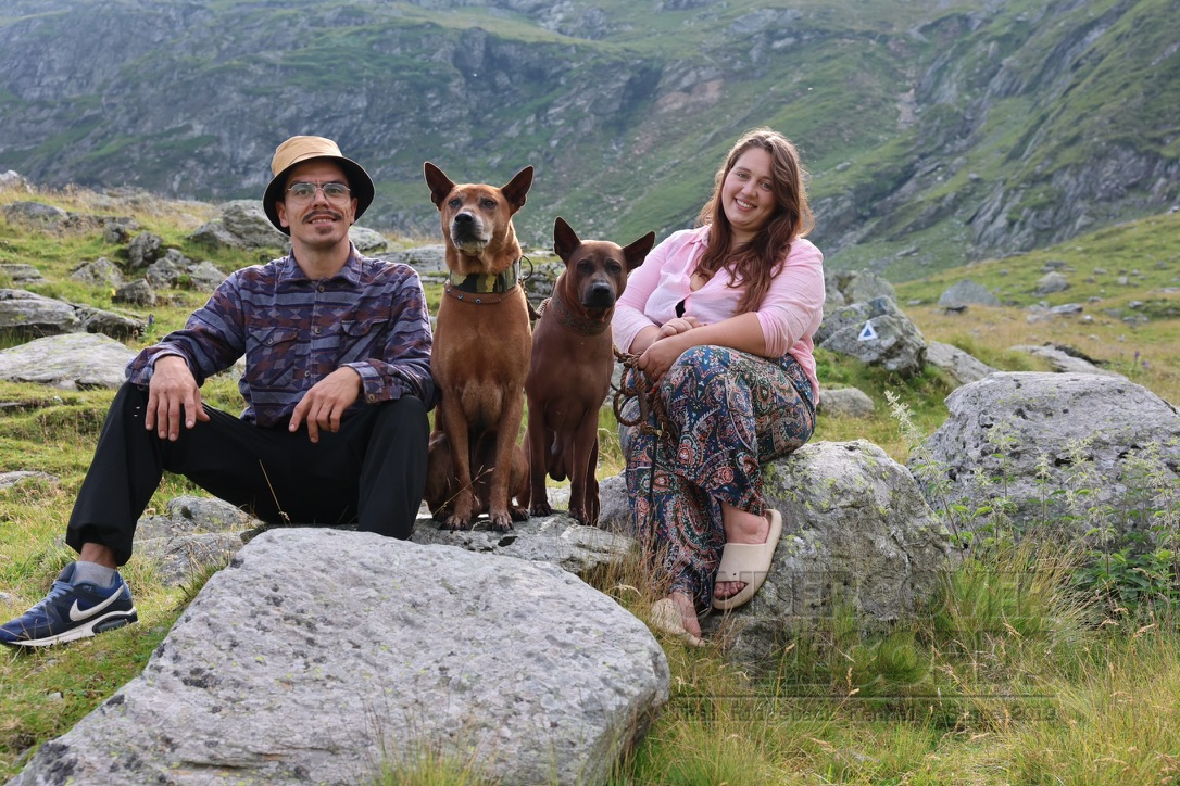 Undercover Records mit Thai Ridgebacks in den Bergen